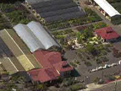 Tsugawa Nursery from the Air